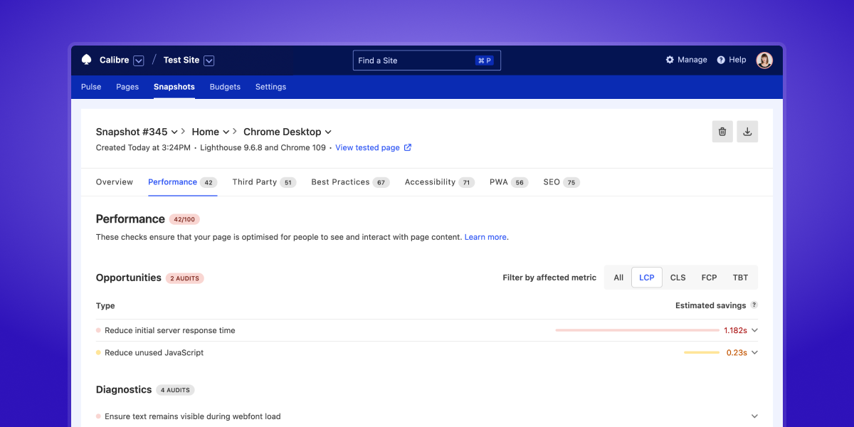 Performance audits tab showing opportunities and diagnostics for improving performance