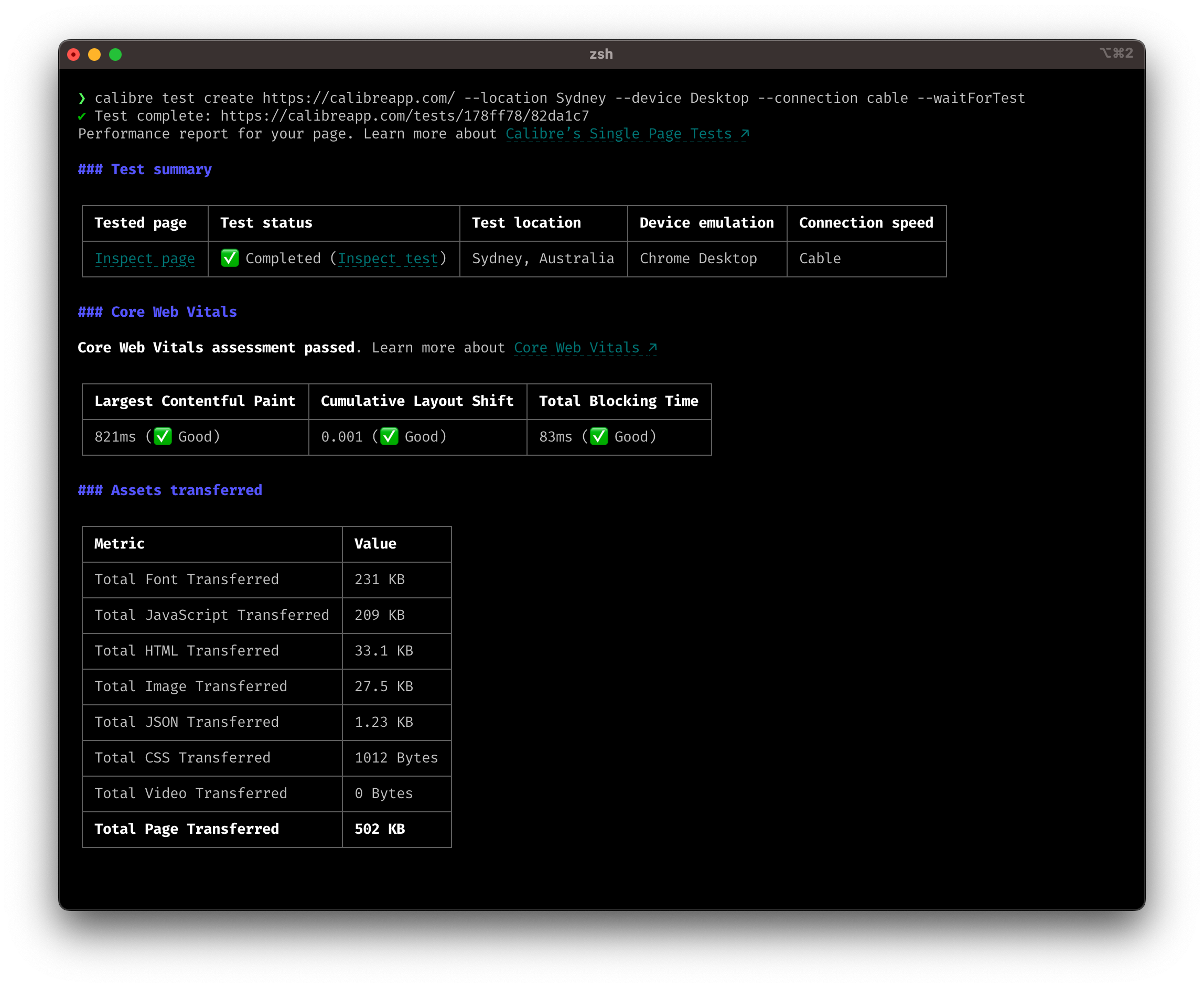 Screenshot: Terminal displaying Single Page Test report output