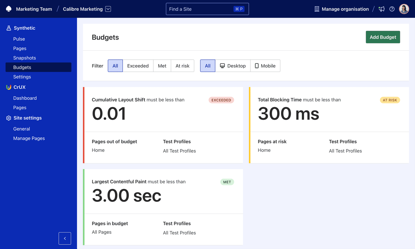 Budgets page showcasing all of your Budgets and their current status